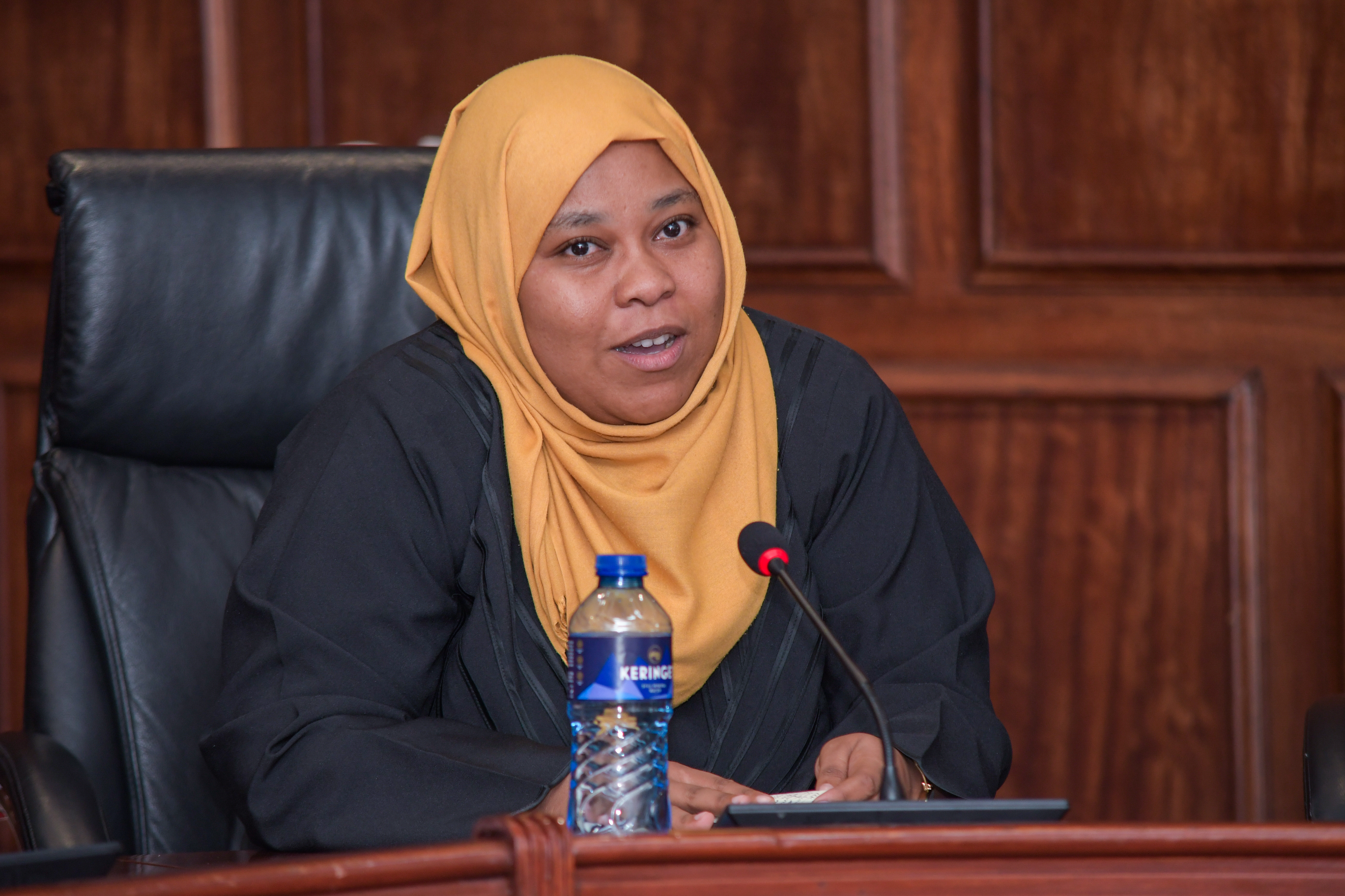 National Assembly meeting with IEBC - 31st July 2025/ESD_4195.jpg