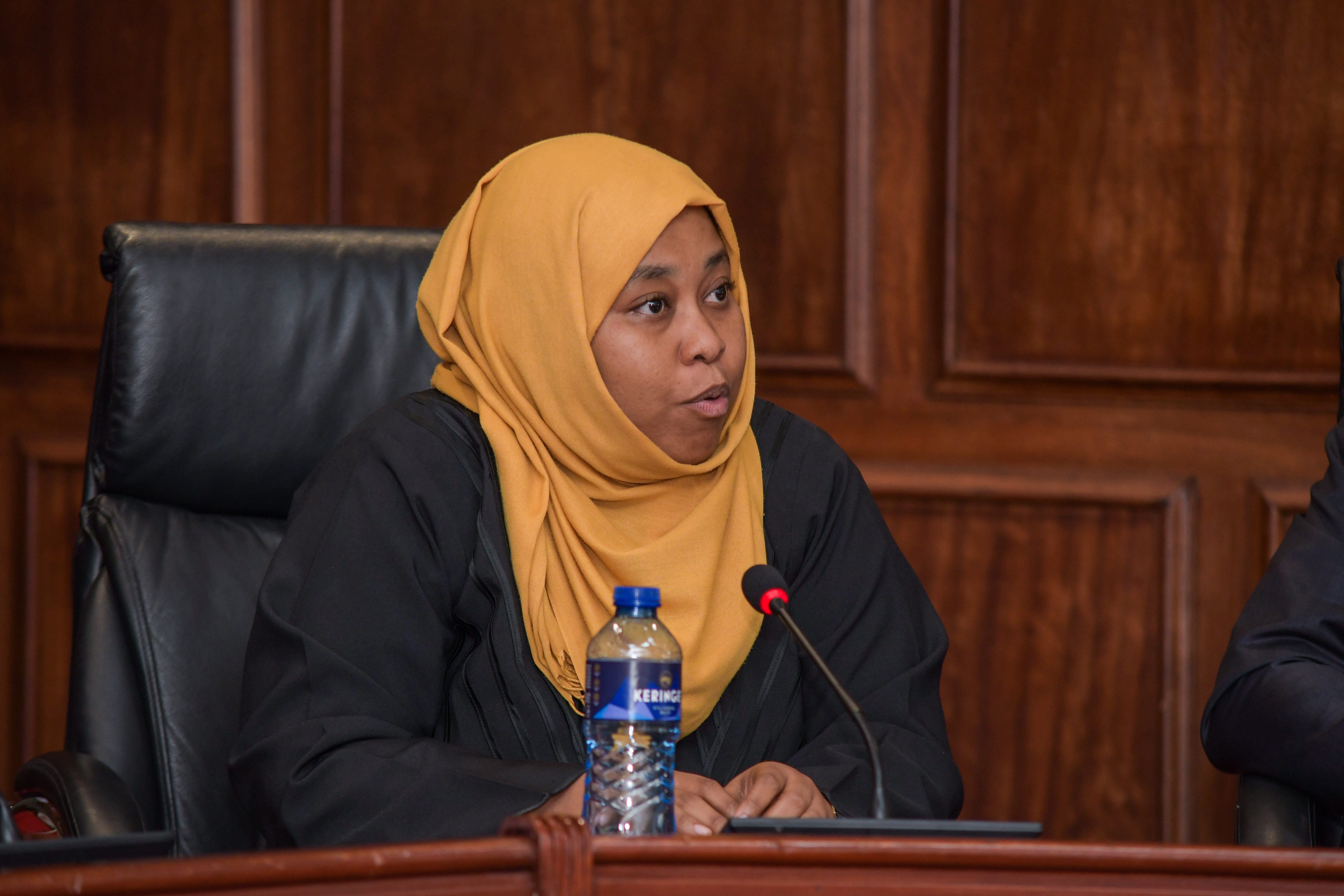 National Assembly meeting with IEBC - 31st July 2025/ESD_4207.jpg