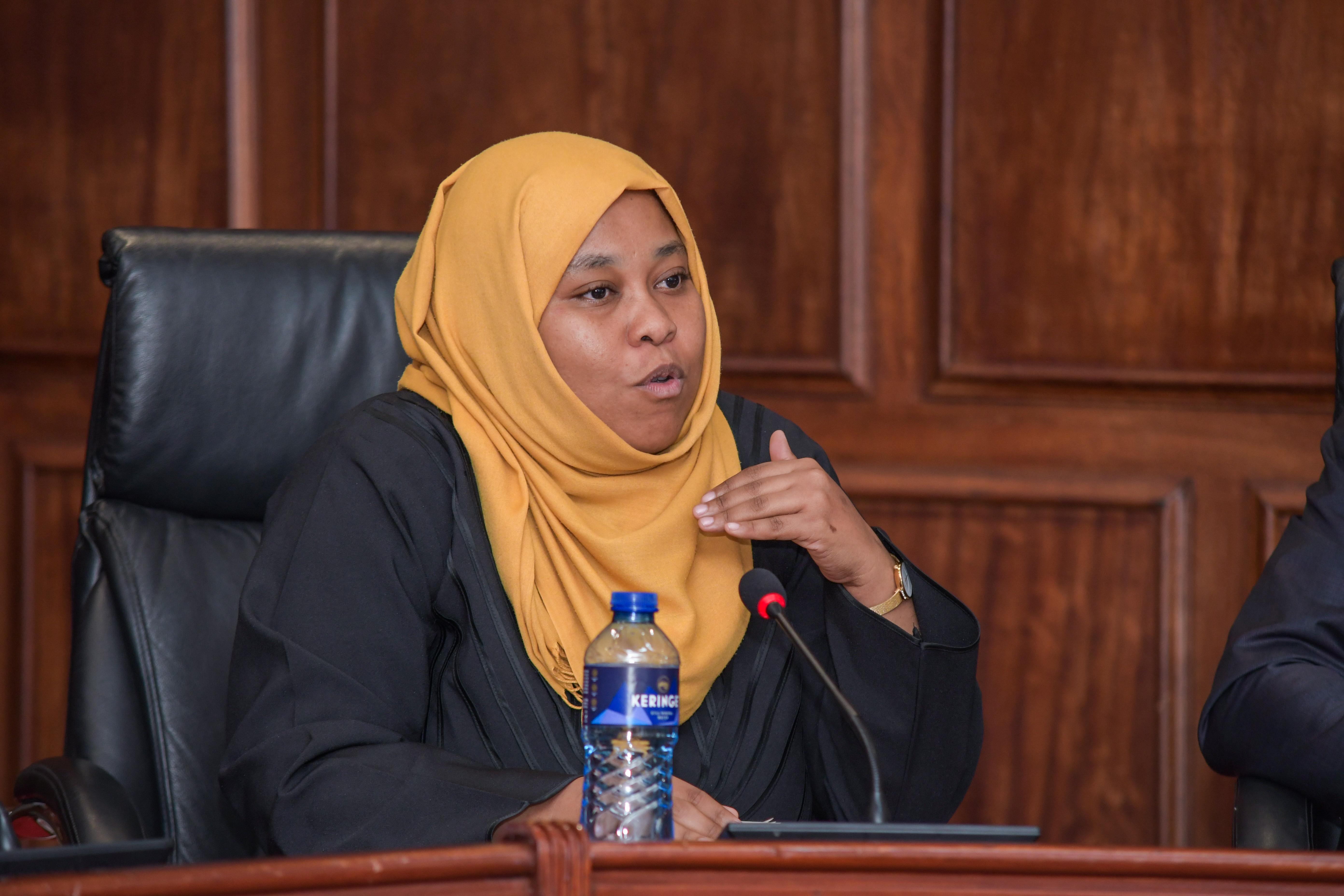 National Assembly meeting with IEBC - 31st July 2025/ESD_4209.jpg